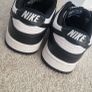 Nike Dunk Image 6