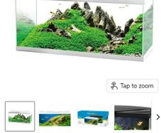 fish tank complete set 1 month