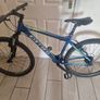 bike Image 10
