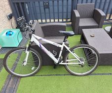 Ladies Mountain Bike