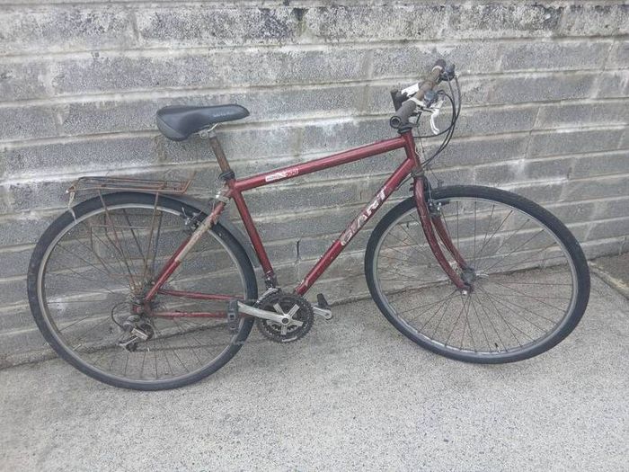 Adults Bike