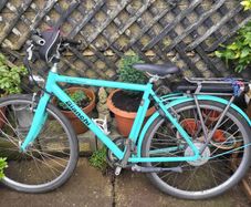 Pedal assist electric bike