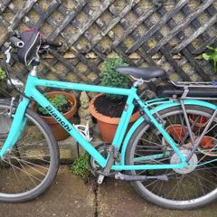 Pedal assist electric bike