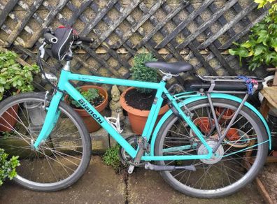 Pedal assist electric bike