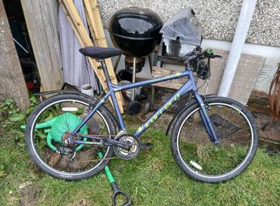 mens bicycle