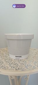 Grey Pantone Plant Pot