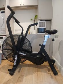 Assault Air Bike - Rogue Echo