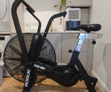 Assault Air Bike - Rogue Echo