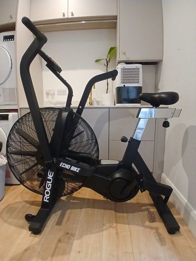Assault Air Bike - Rogue Echo