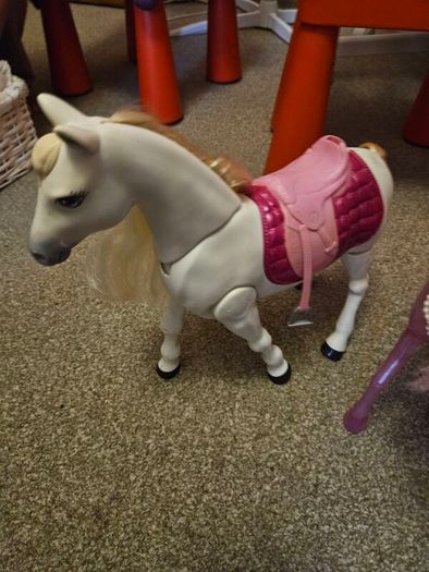 horses