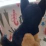 German shepherd ; plush dog (Pr 1779 ) 2 Image 4