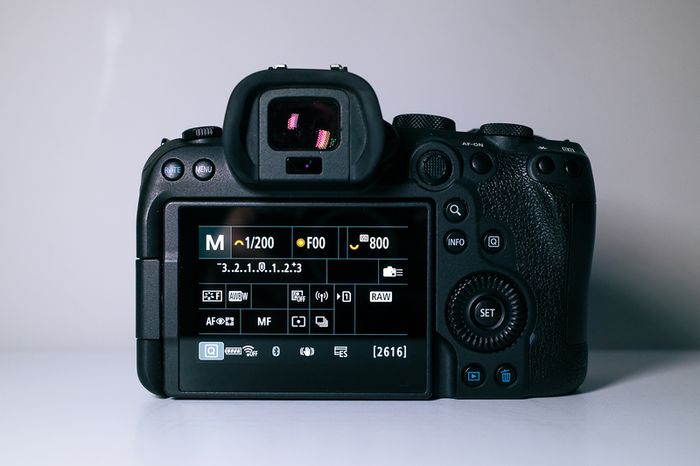 Canon R6 x2