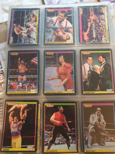 WWF Merlin Trading Cards full set of 96