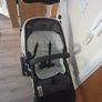 Free bugaboo Image 2