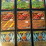 Phantasmal Flames full art . Ex's and promos Image 10
