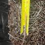 Roofing Nails Job-Lot Image 3