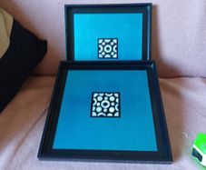 trays