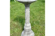 Bird Bath Rose BB010