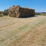 Hay square bales Image 2