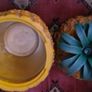 Pineapple Ice Bucket Image 6