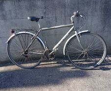 26" Huntleigh 18 speed