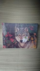 art/ pictures