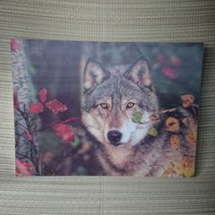 art/ pictures