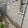 pet safe dog run Image 3