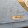 Manchester City Football Club Home Jersey 2006 to 2007 Childrens 11 to 12 Years Old Image 10