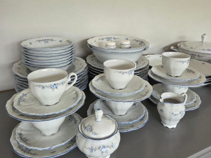61 Piece Dinner Set Bavaria Rose