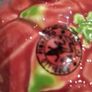 Bordallo pinheiro pink dragon fruit bowl Image 5