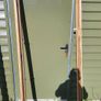 Solid Wood Door Image 3