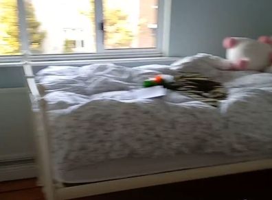 free arnotts wrought iron single bed