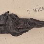 Collection of 4 Ancient Irish Bog Oak Pieces Image 9