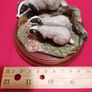 Rare Badger & Cubs (Border Fine Arts) Vintage Image 4