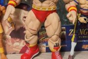 Storm collectibles Street fighter