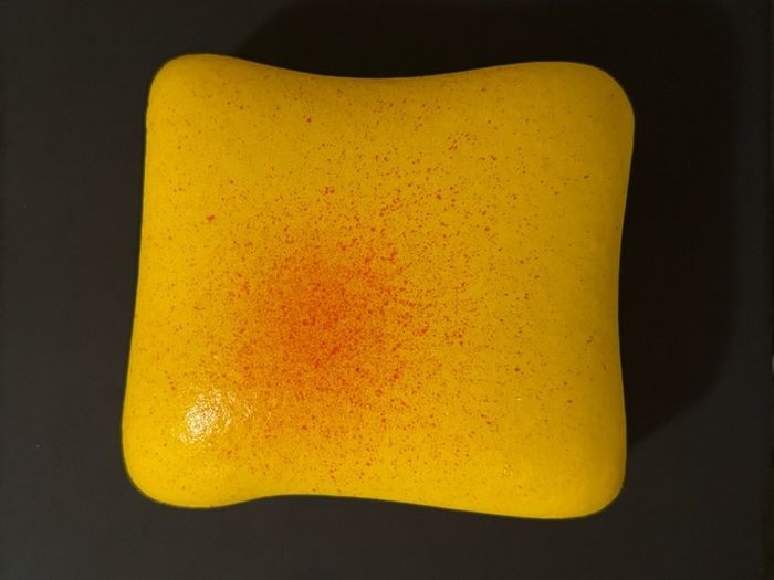 Butter toast squishy