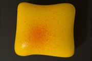 Butter toast squishy