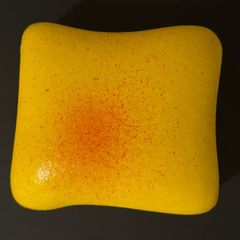 Butter toast squishy