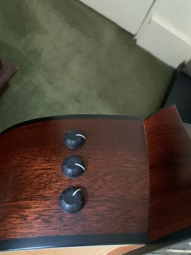 Taylor 317e Grand Pacific with Hard Case