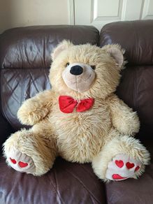 Teddy bear
