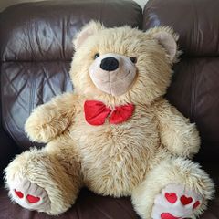 Teddy bear