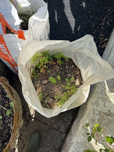 Top Soil