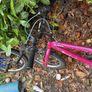 bike girls Image 6