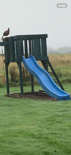 Blue Slide without frame
