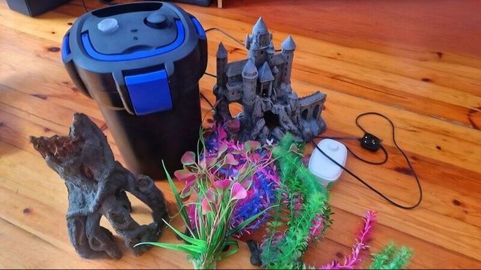 Fish tank