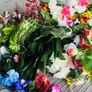 flowers Image 10