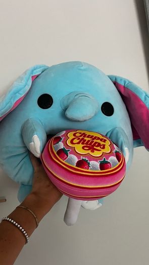 Swuishmallows and teddies