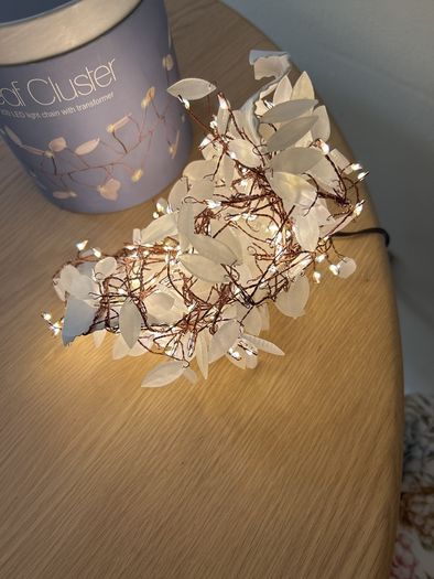 fairy lights