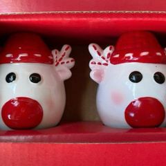 Christmas Reindeer Salt & Pepper Shakers